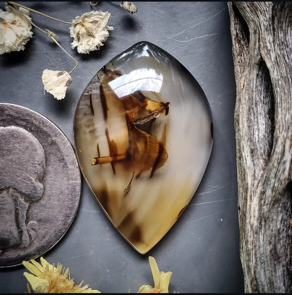 Montana Agate Drop Cabochon
