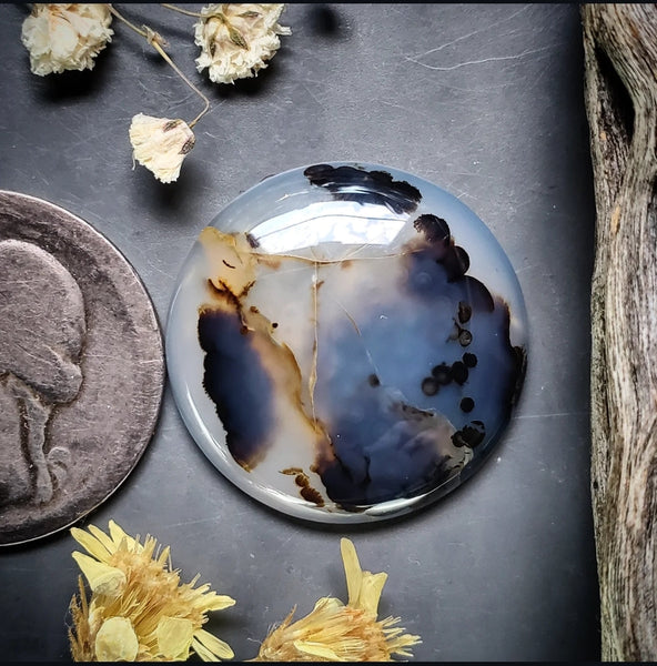 Montana Agate Round Cabochon