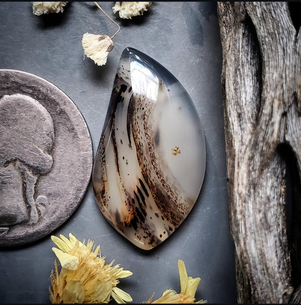 Montana Agate Freeform Cabochon