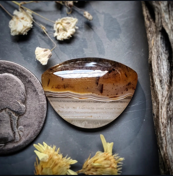 Montana Agate Half Moon Cabochon