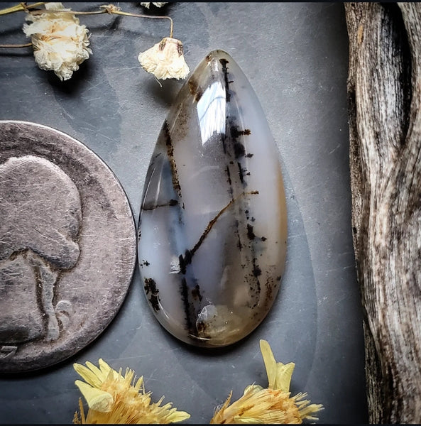 Montana Agate Drop Cabochon