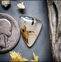 Montana Agate Triangle Cabochon