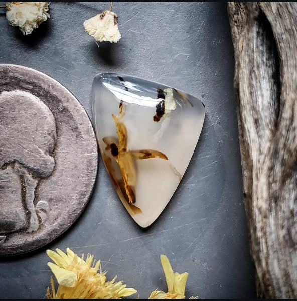 Montana Agate Triangle Cabochon