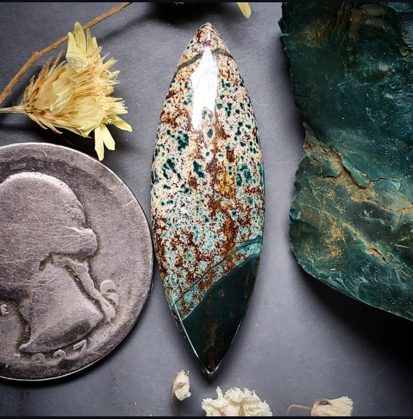 Morning Dew Jasper Marquise Cabochon