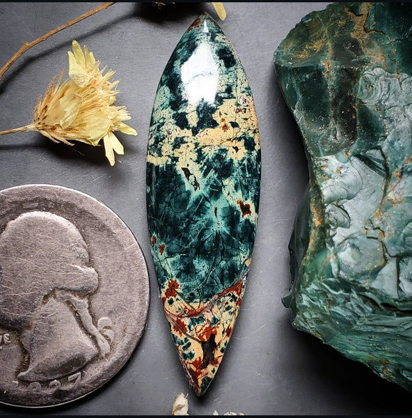 Morning Dew Jasper Marquise Cabochon