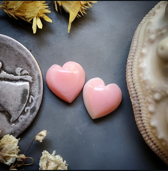Bahamian Pink Conch Shell Hearts (2pc) Cabochon