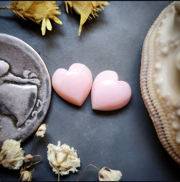 Bahamian Pink Conch Shell Hearts (2pc) Cabochon