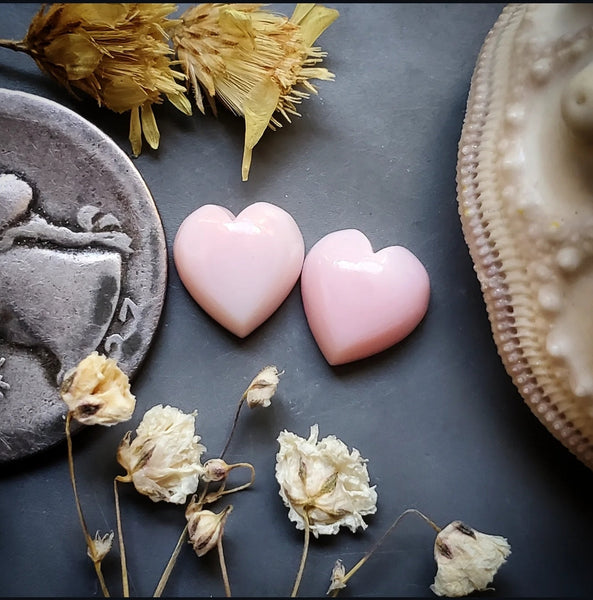 Bahamian Pink Conch Shell Hearts (2pc) Cabochon