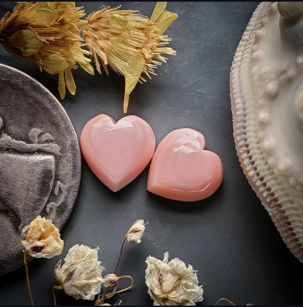 Bahamian Pink Conch Shell Hearts (2pc) Cabochon