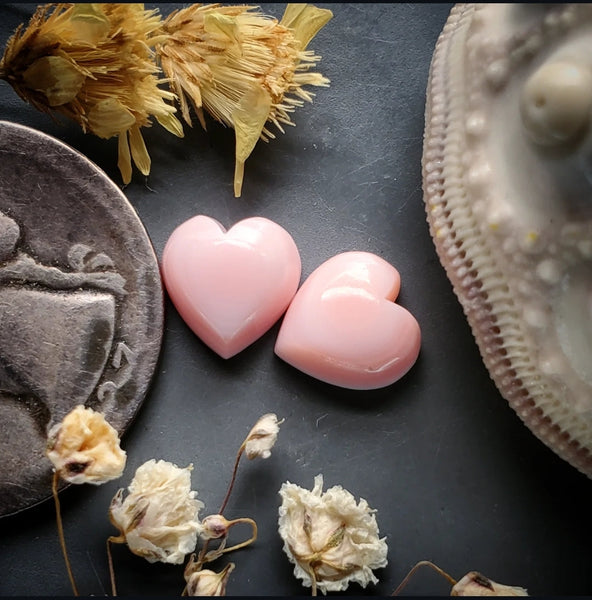 Bahamian Pink Conch Shell Hearts (2pc) Cabochon
