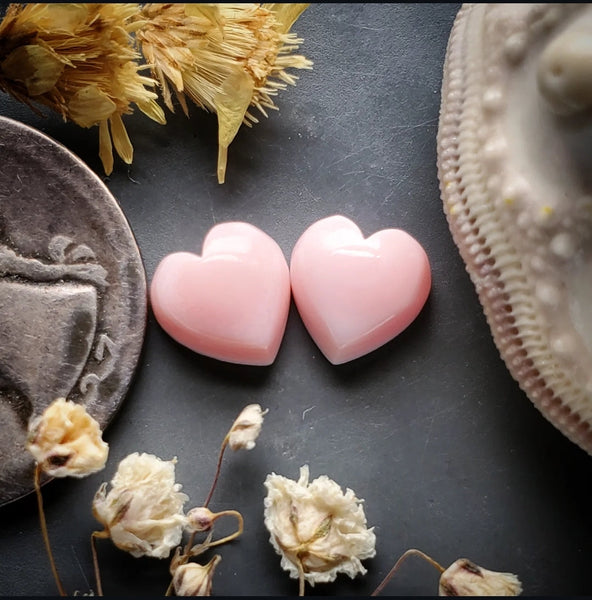 Bahamian Pink Conch Shell Hearts (2pc) Cabochon