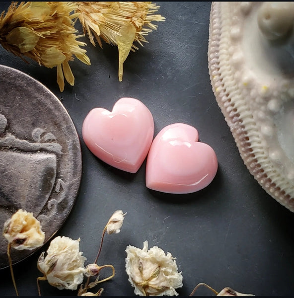 Bahamian Pink Conch Shell Hearts (2pc) Cabochon