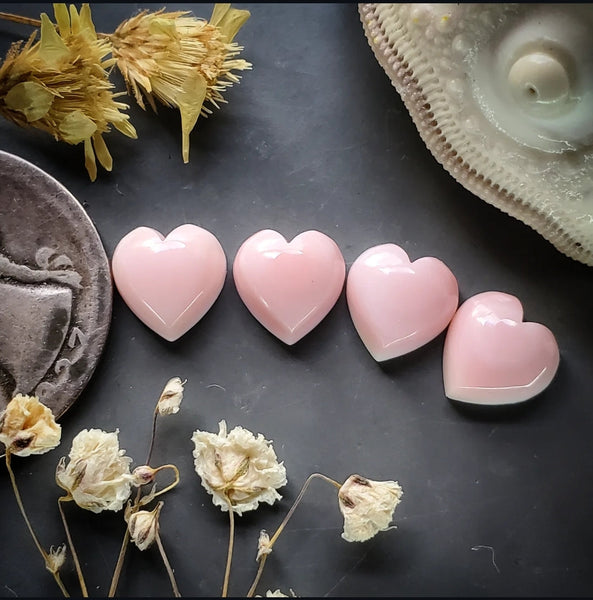 Bahamian Pink Conch Shell Hearts (4pc) Cabochon