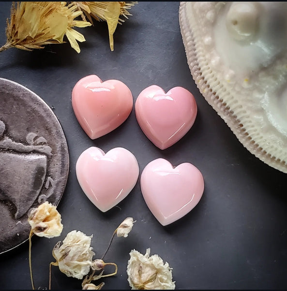 Bahamian Pink Conch Shell Hearts (4pc) Cabochon