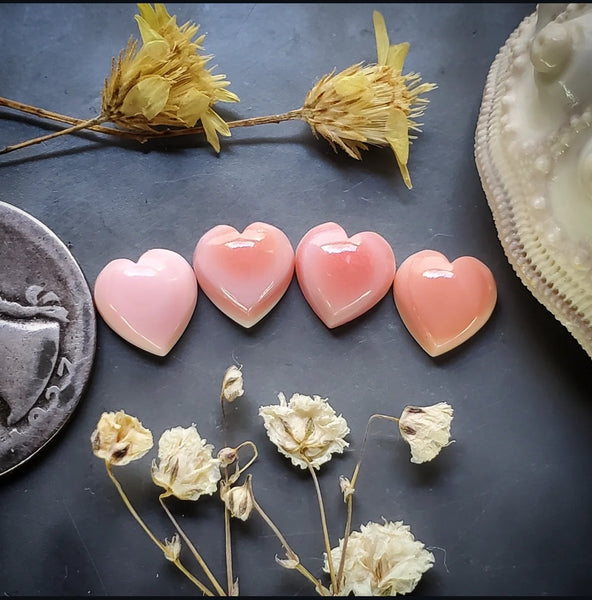 Bahamian Pink Conch Shell Hearts (4pc) Cabochon