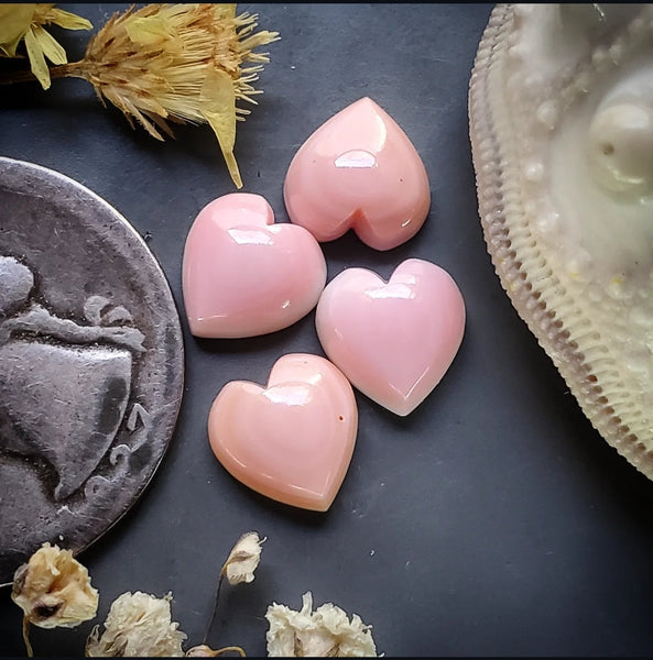Bahamian Pink Conch Shell Hearts (4pc) Cabochon