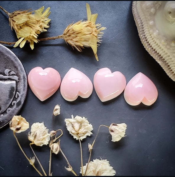 Bahamian Pink Conch Shell Hearts (4pc) Cabochon