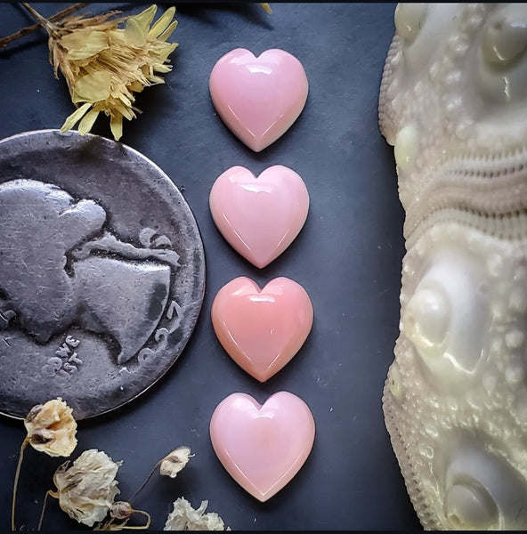 Bahamian Pink Conch Shell Hearts (4pc) Cabochon
