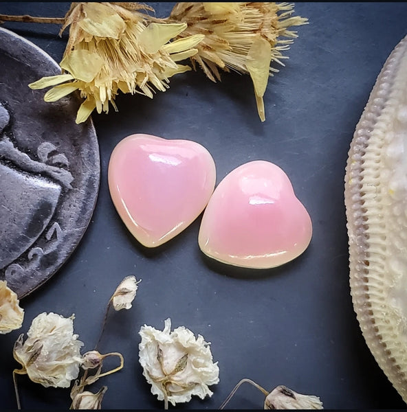 Bahamian Pink Conch Shell Hearts (2pc) Cabochon