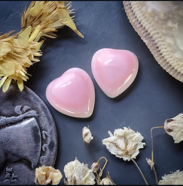 Bahamian Pink Conch Shell Hearts (2pc) Cabochon