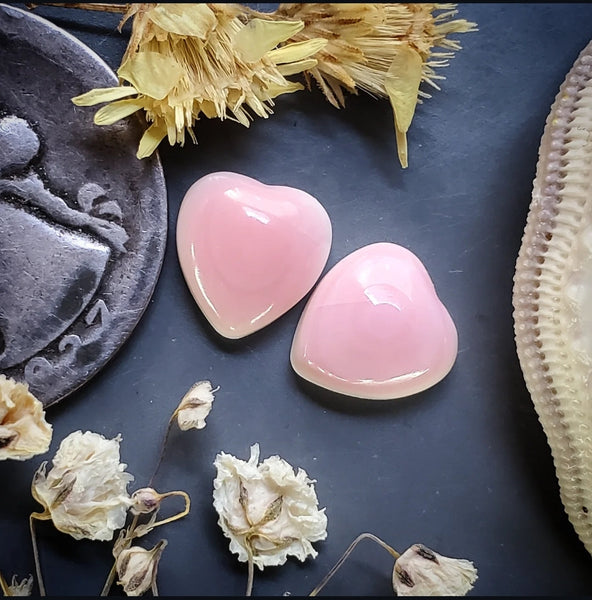 Bahamian Pink Conch Shell Hearts (2pc) Cabochon