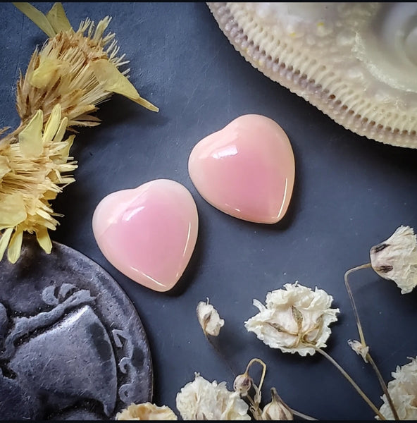 Bahamian Pink Conch Shell Hearts (2pc) Cabochon