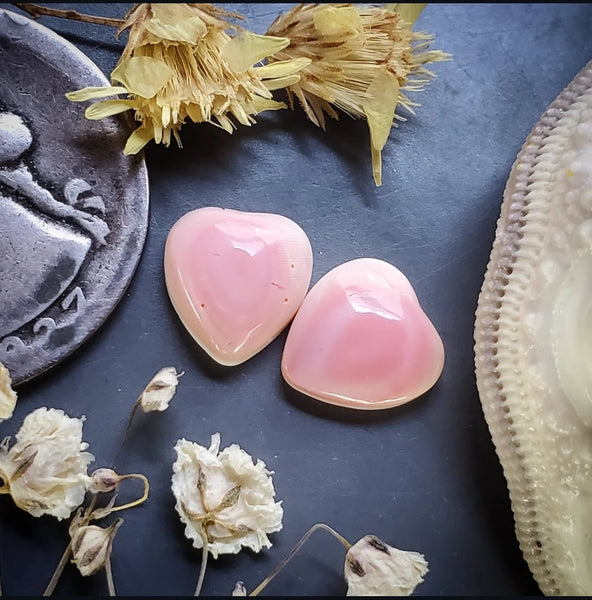 Bahamian Pink Conch Shell Hearts (2pc) Cabochon