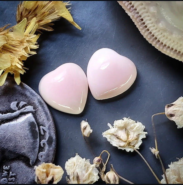 Bahamian Pink Conch Shell Hearts (2pc) Cabochon