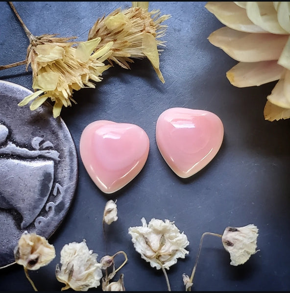 Bahamian Pink Conch Shell Hearts (2pc) Cabochon
