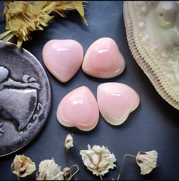 Bahamian Pink Conch Shell Hearts (4pc) Cabochon