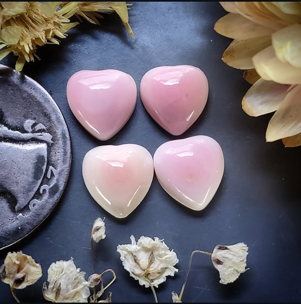 Bahamian Pink Conch Shell Hearts (4pc) Cabochon