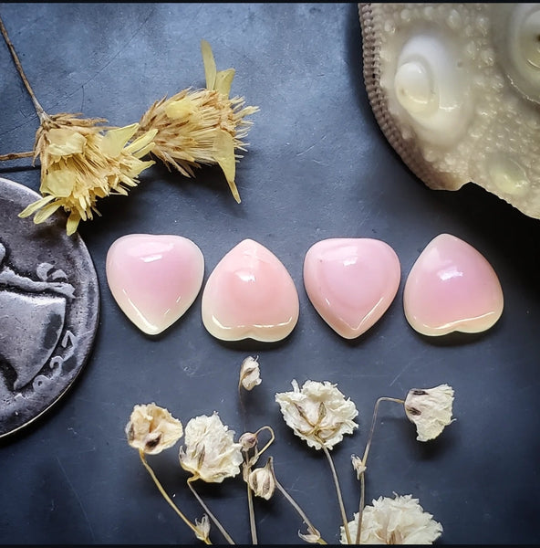 Bahamian Pink Conch Shell Hearts (4pc) Cabochon