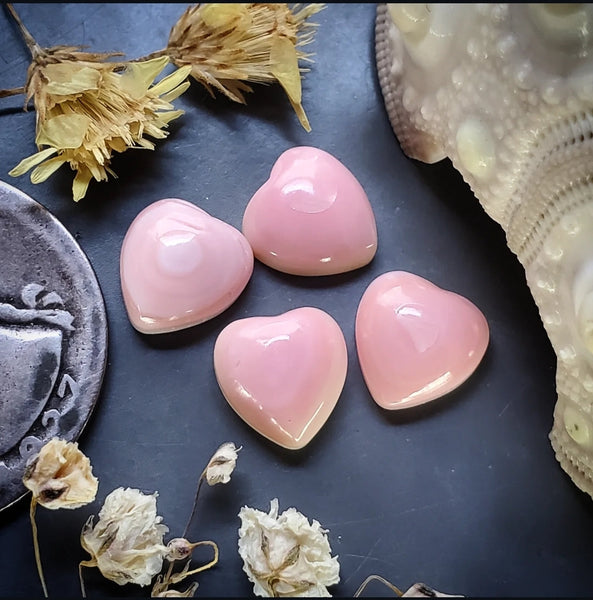 Bahamian Pink Conch Shell Hearts (4pc) Cabochon