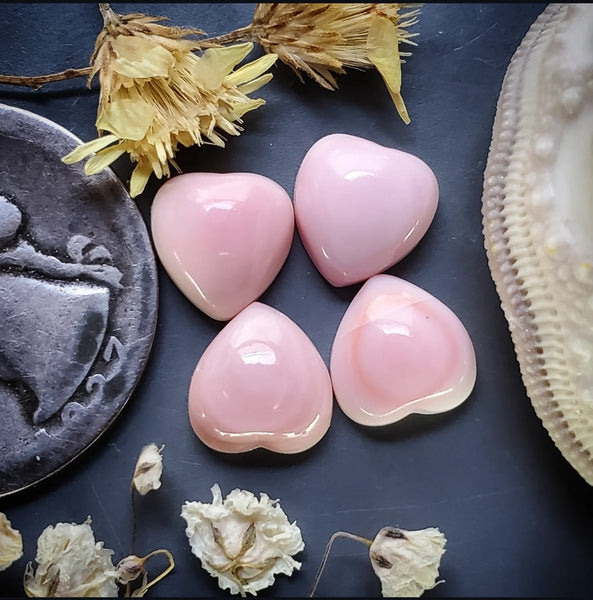Bahamian Pink Conch Shell Hearts (4pc) Cabochon