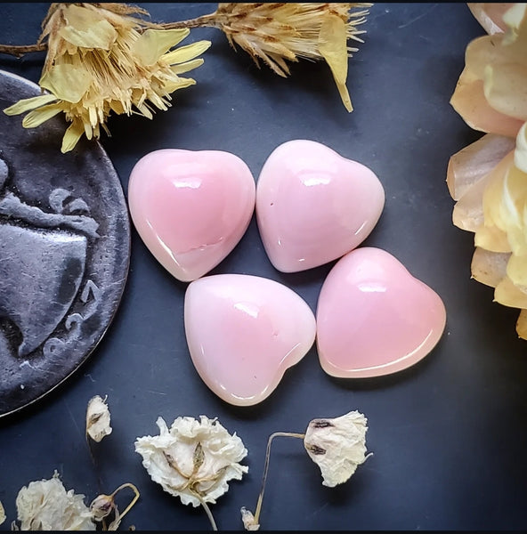 Bahamian Pink Conch Shell Hearts (4pc) Cabochon