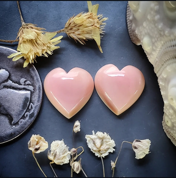 Bahamian Pink Conch Shell Hearts (2pc) Cabochon