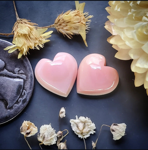 Bahamian Pink Conch Shell Hearts (2pc) Cabochon