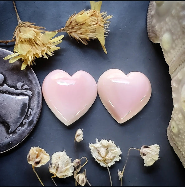Bahamian Pink Conch Shell Hearts (2pc) Cabochon