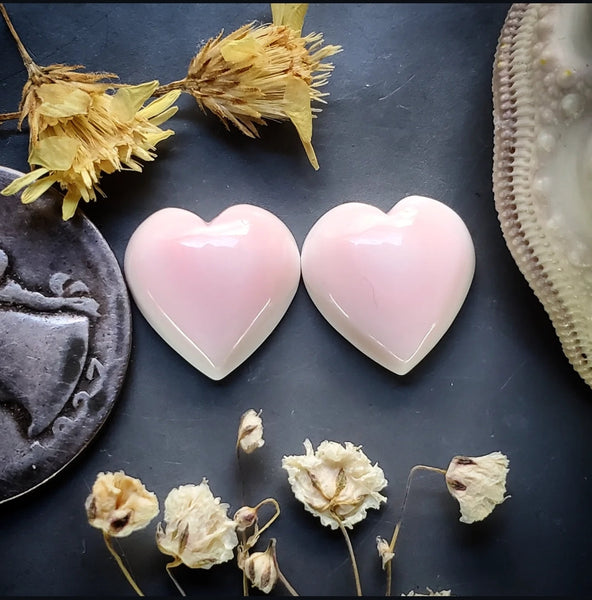 Bahamian Pink Conch Shell Hearts (2pc) Cabochon