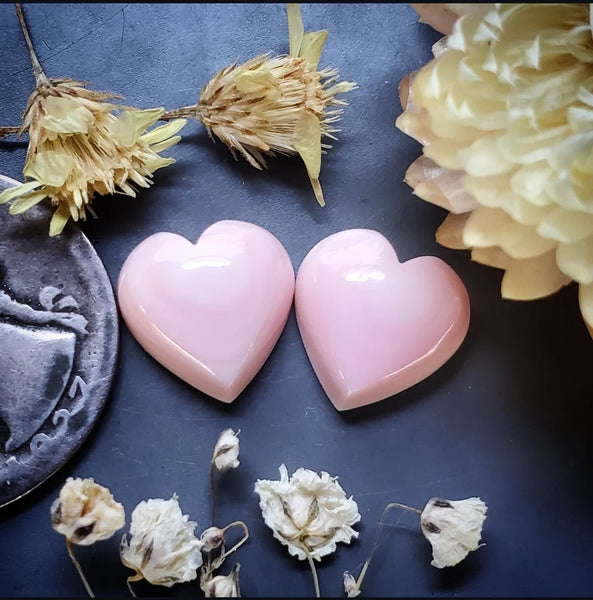 Bahamian Pink Conch Shell Hearts (2pc) Cabochon