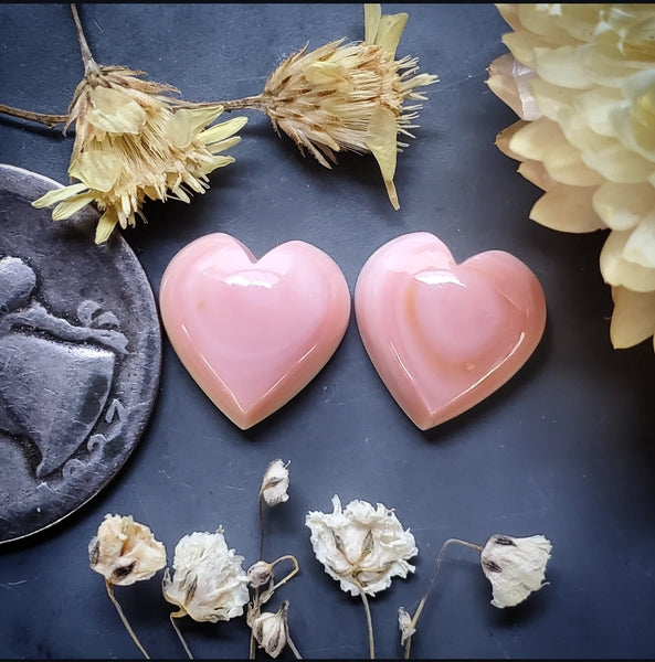 Bahamian Pink Conch Shell Hearts (2pc) Cabochon