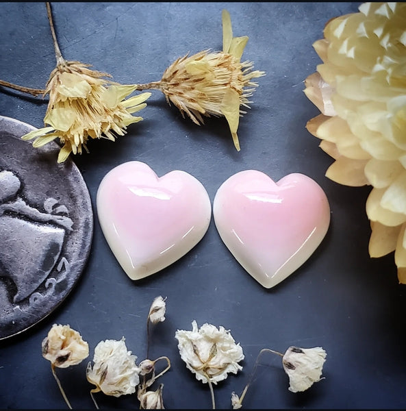 Bahamian Pink Conch Shell Hearts (2pc) Cabochon