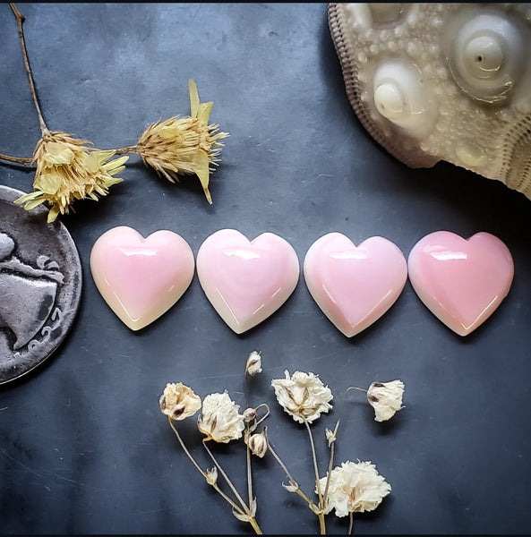 Bahamian Pink Conch Shell Hearts (4pc) Cabochon