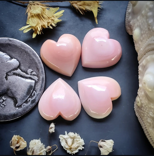 Bahamian Pink Conch Shell Hearts (4pc) Cabochon