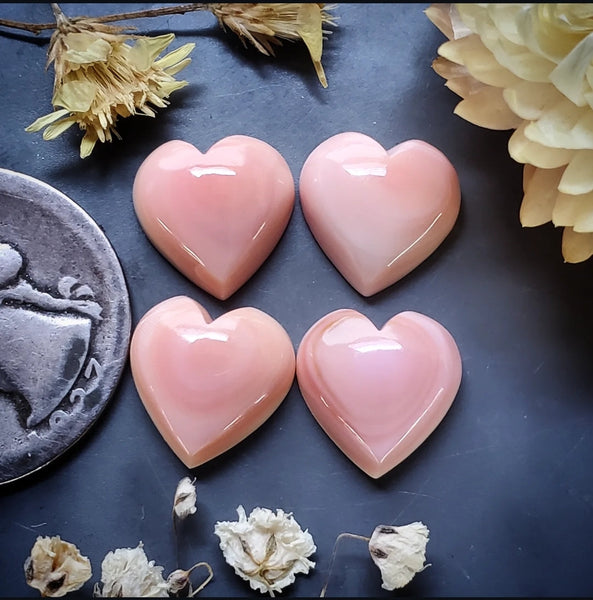 Bahamian Pink Conch Shell Hearts (4pc) Cabochon