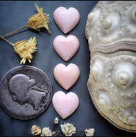 Bahamian Pink Conch Shell Hearts (4pc) Cabochon