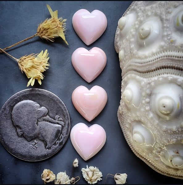Bahamian Pink Conch Shell Hearts (4pc) Cabochon