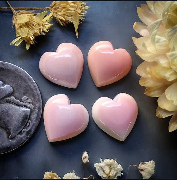 Bahamian Pink Conch Shell Hearts (4pc) Cabochon