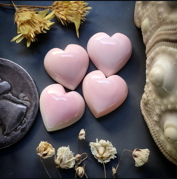 Bahamian Pink Conch Shell Hearts (4pc) Cabochon