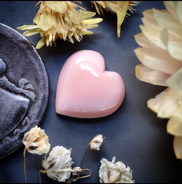 Bahamian Pink Conch Shell Heart Cabochon